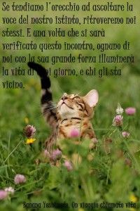 c8c2b59e1a9ef3e871e2ac8bd62c9020